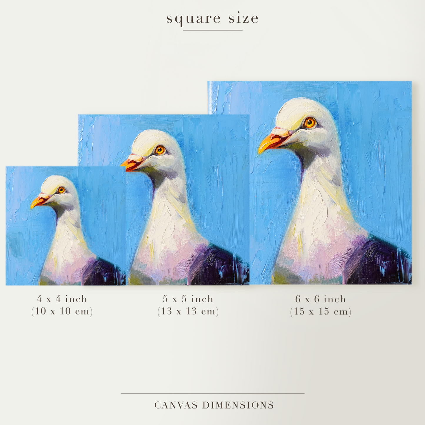 Original White Pigeon Oil Painting