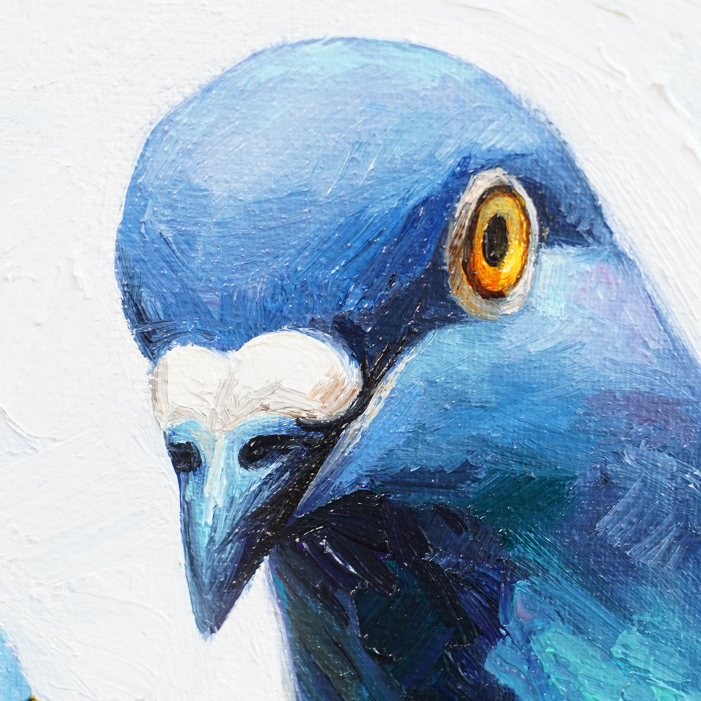 Original Pigeons Oil Painting