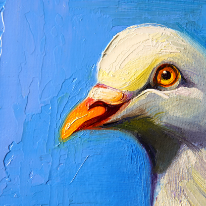 Original White Pigeon Oil Painting