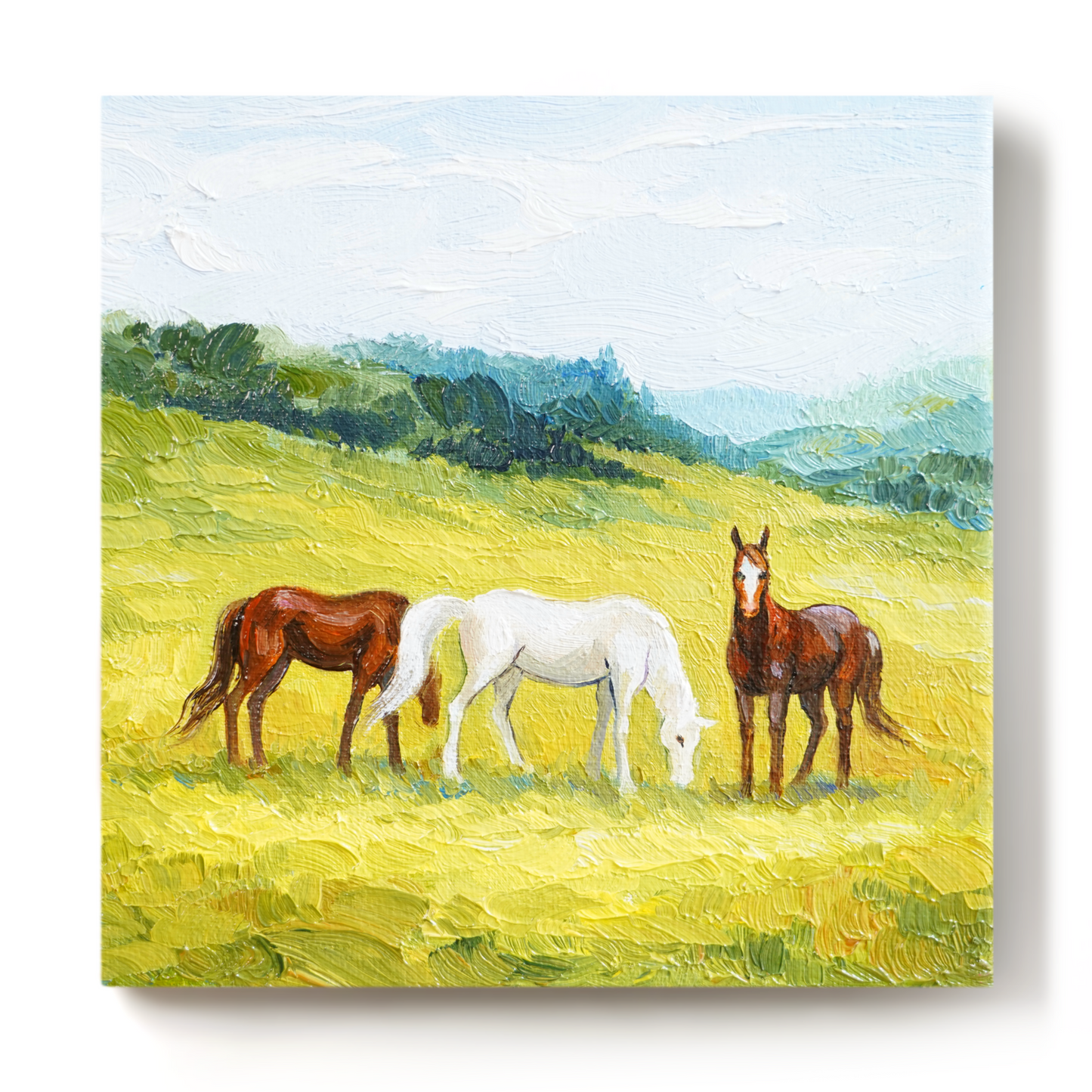 Original Horses in a Field Oil Painting