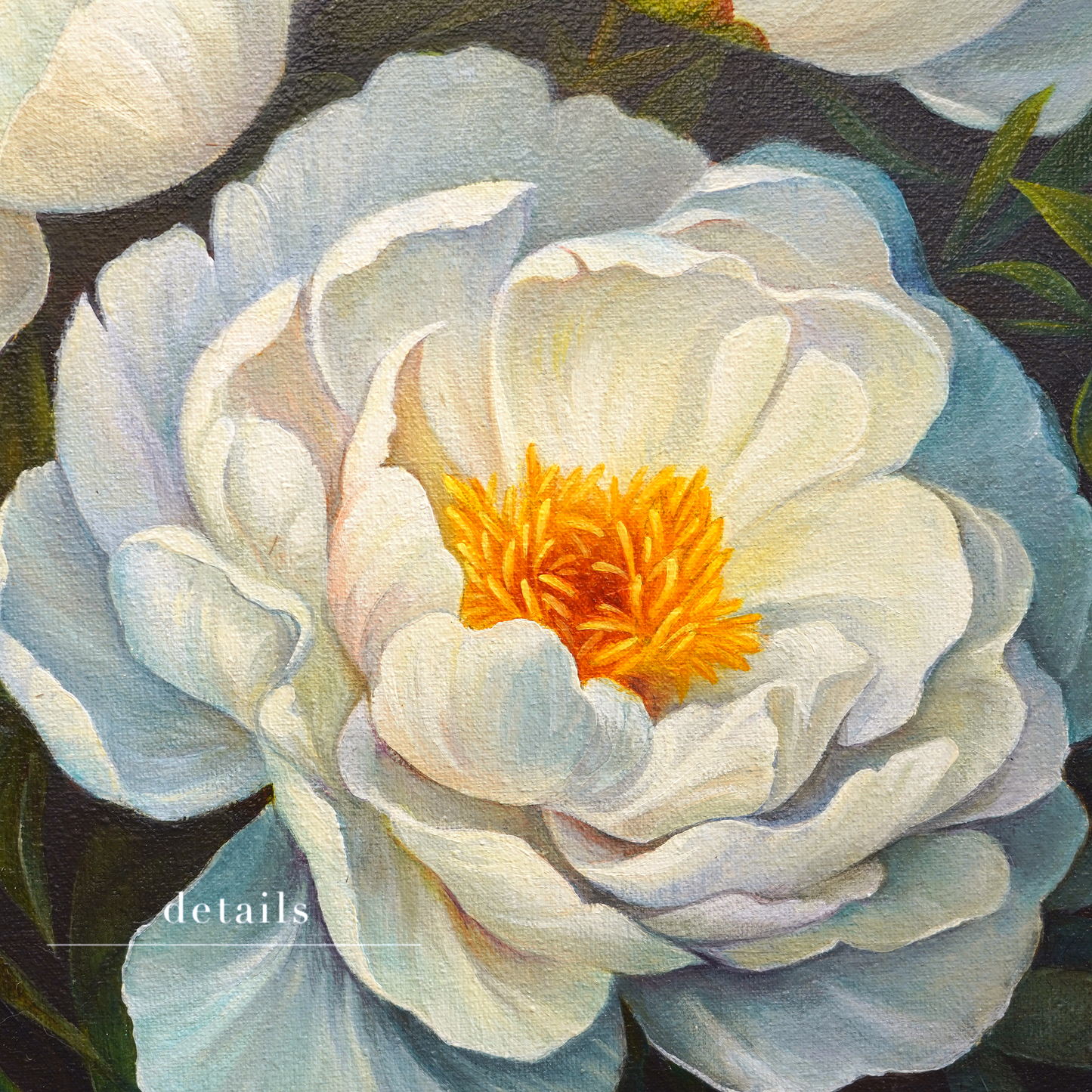 Custom Flower & Still Life Oil Painting